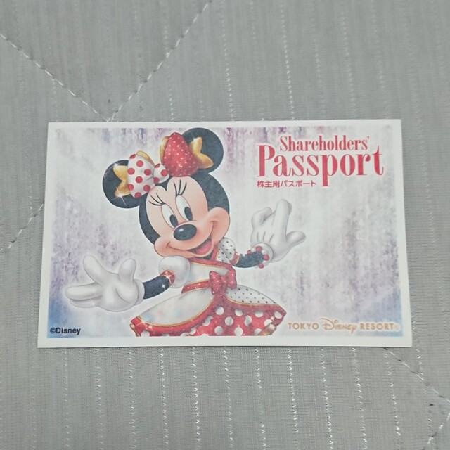 Disney(ディズニー)の使用済  ディズニーチケット エンタメ/ホビーのコレクション(印刷物)の商品写真