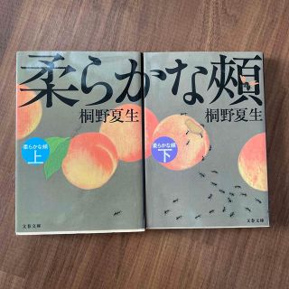 柔らかな頬　上下(文学/小説)