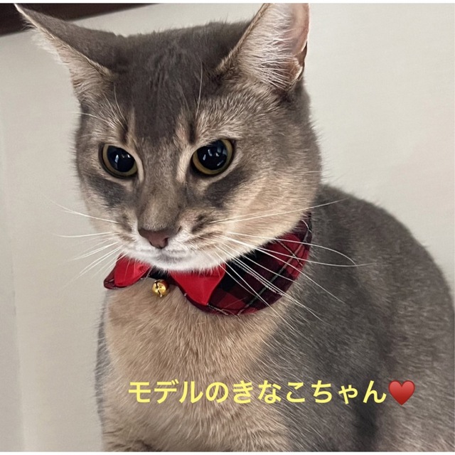 1点のみ!)キラキラ✨アクセサリー 猫首輪(ライトブルー
