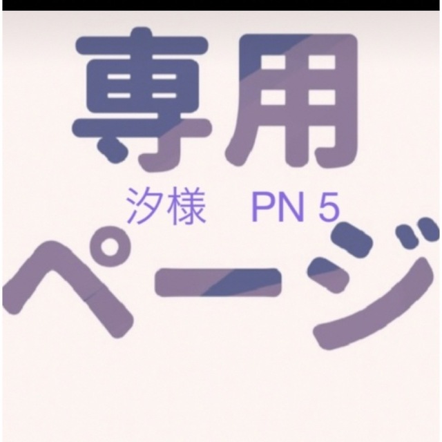 PN 5セット　10点　専用ページ