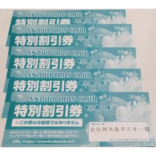 スノーバーズクラブ特別割引券　２枚　(複数枚ご用意できます。)(その他)