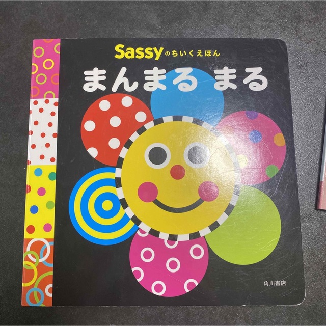 Sassyのちいくえほん いろいろ ぱっ エンタメ/ホビーの本(絵本/児童書)の商品写真