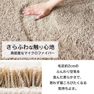 アイリスプラザ ラグ カーペット 滑り止め付 オールシーズン 床暖房対応 ふわふ