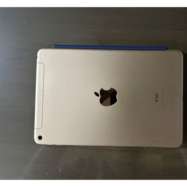Apple iPad mini5 64GB wifi+cellular 1