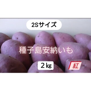 種子島安納いも紅2S 2キロ(野菜)
