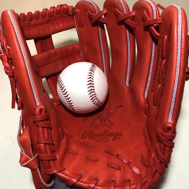 Rawlings(ローリングス)の◆専用品◆ グラブのみのお渡し スポーツ/アウトドアの野球(グローブ)の商品写真