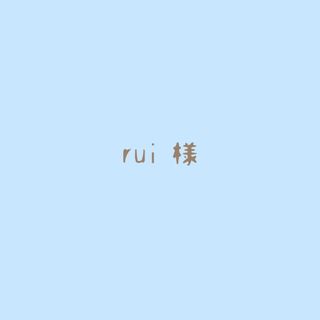 rui様🦋専用(その他)