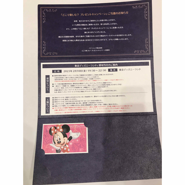 Disney 東京ディズニーランド 貸切パーティー チケット１枚の通販 By 貴章 S Shop ディズニーならラクマ
