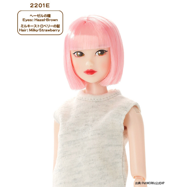 [未使用][未開封]My choice momoko 2201 E