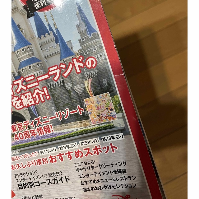 東京ディズニーランドパーフェクトガイドブック ２０２３ エンタメ/ホビーの本(地図/旅行ガイド)の商品写真