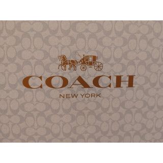 コーチ(COACH)の婚姻届【COACH(コーチ)とピンクのセット】(結婚/出産/子育て)