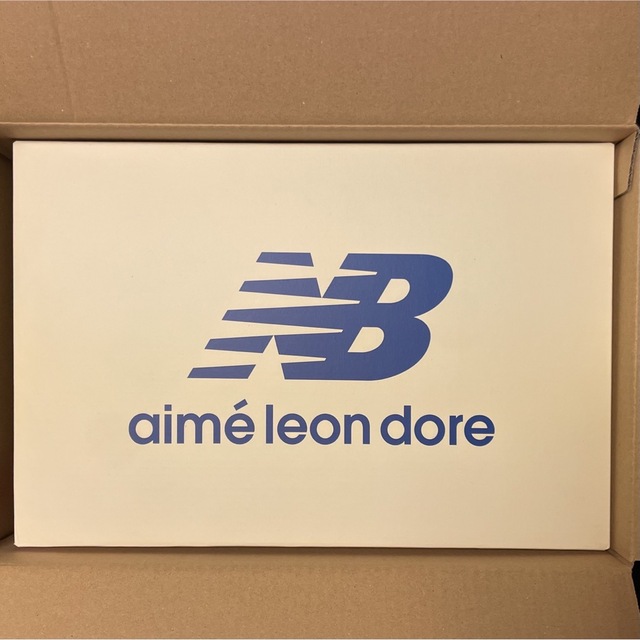 New Balance(ニューバランス)の【29cm】new balance×AIME LEON DORE Rainier メンズの靴/シューズ(スニーカー)の商品写真