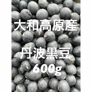丹波黒豆　600g(野菜)