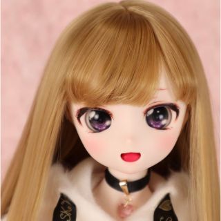 ボークス(VOLKS)のDDH-28 SW肌 カスタムヘッド(人形)