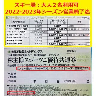 1枚で大人2名可リフト券割引券グランヒラフグランデコハンタマジーンズたんばら他⑧(スキー場)