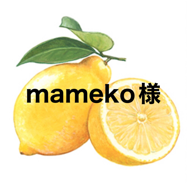 【受注生産品】 mamekoちゃん 各種パーツ