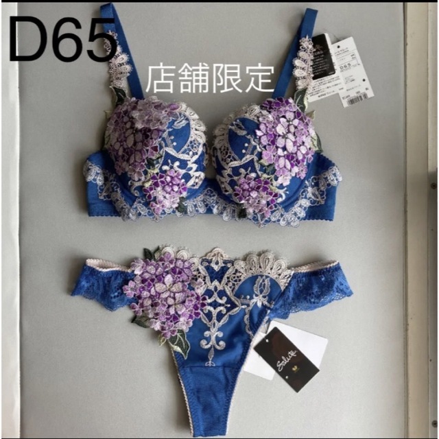 サルート 店舗限定 49G D65 ソング M BU-www.ecosea.do