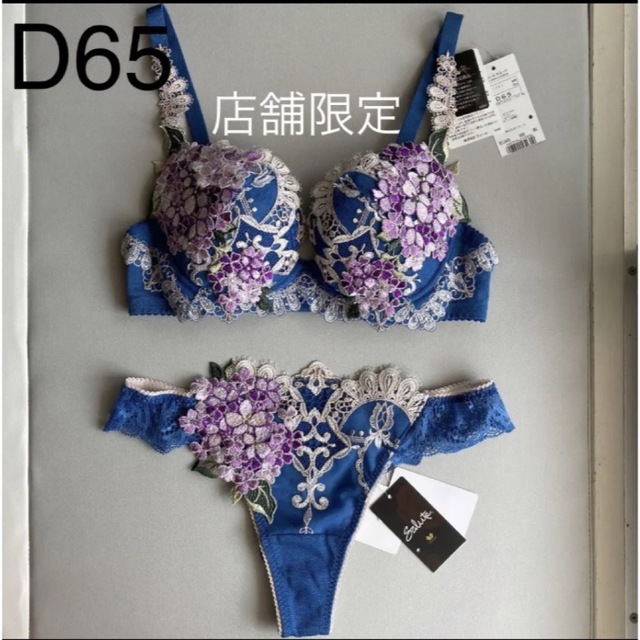 サルート????49G 店舗限定 モロッコ D65 ソングM IVMカラー