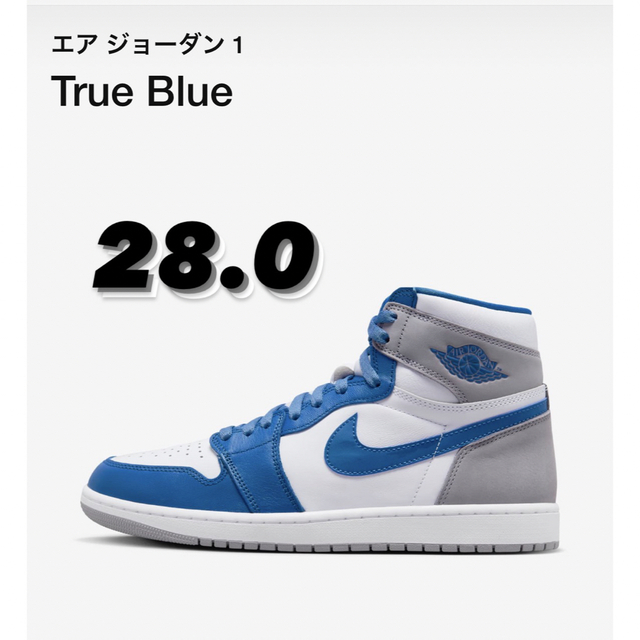 メンズnike Air Jordan 1 High OG True Blue