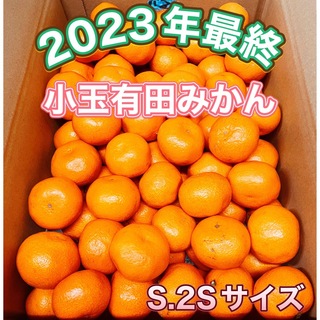 2023年最終 小玉有田みかん 家庭用  10kg  みかんキング(フルーツ)