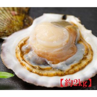 北海道産★活ホタテ貝2kg(約8～10枚)★刺身用帆立貝★産地直送★ほたての貝焼(魚介)