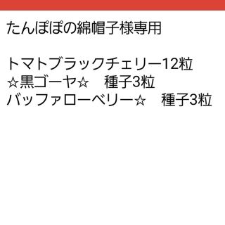 たんぽぽの綿帽子様専用(その他)