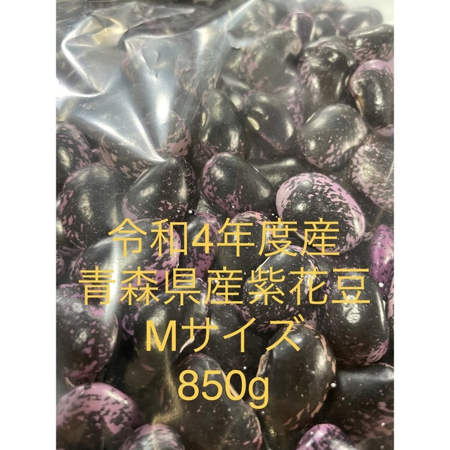 令和4年度産　青森県産紫花豆　Mサイズ　850g 食品/飲料/酒の食品(野菜)の商品写真