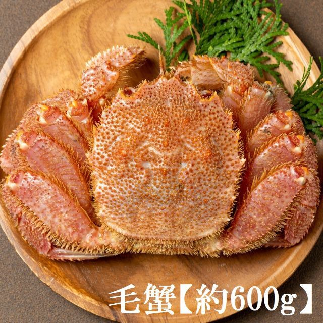 北海道産☆ボイル冷凍特大毛蟹(約600g)☆蟹味噌タップリ☆毛ガニ・蟹の甲羅焼き　魚介