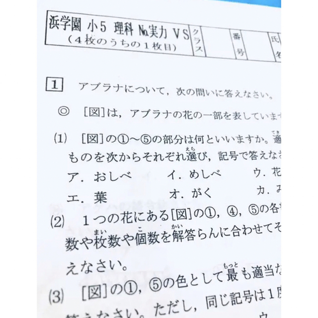 浜学園　小5  Sクラス　3科目 復習テスト　国語、算数、理科 実力〜No.22