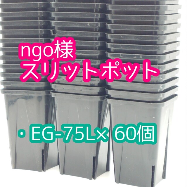 ngo様 スリットポット ハンドメイドのフラワー/ガーデン(その他)の商品写真