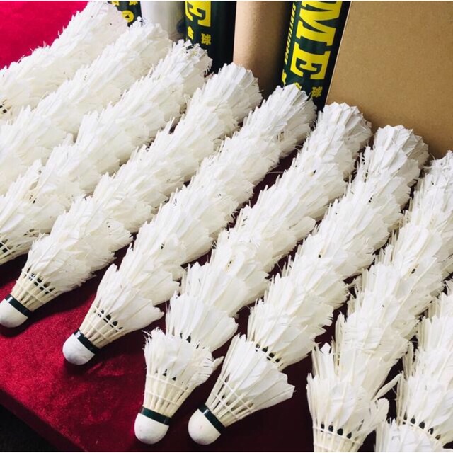 超可爱 バドミントンシャトル450球 thecarestaff.com