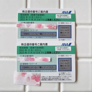 エーエヌエー(ゼンニッポンクウユ)(ANA(全日本空輸))のANA搭乗券株主優待チケット2枚(その他)