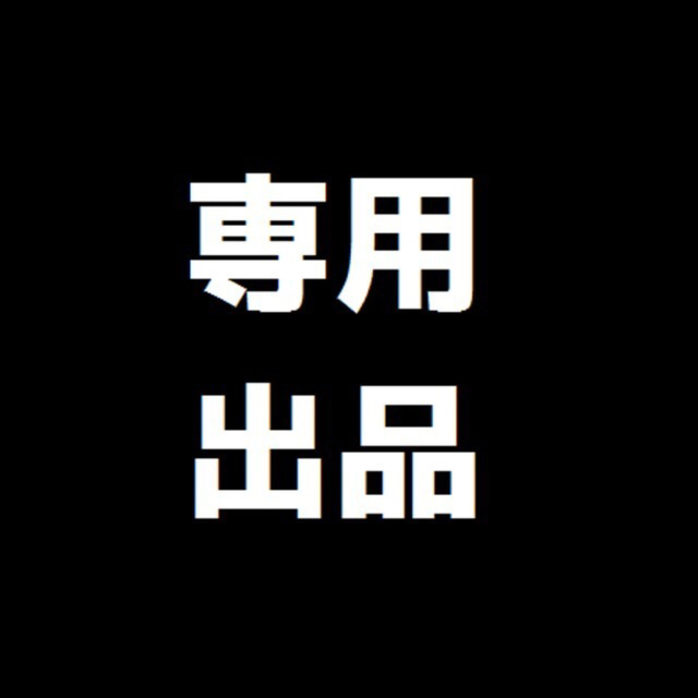 けんじさん　専用出品