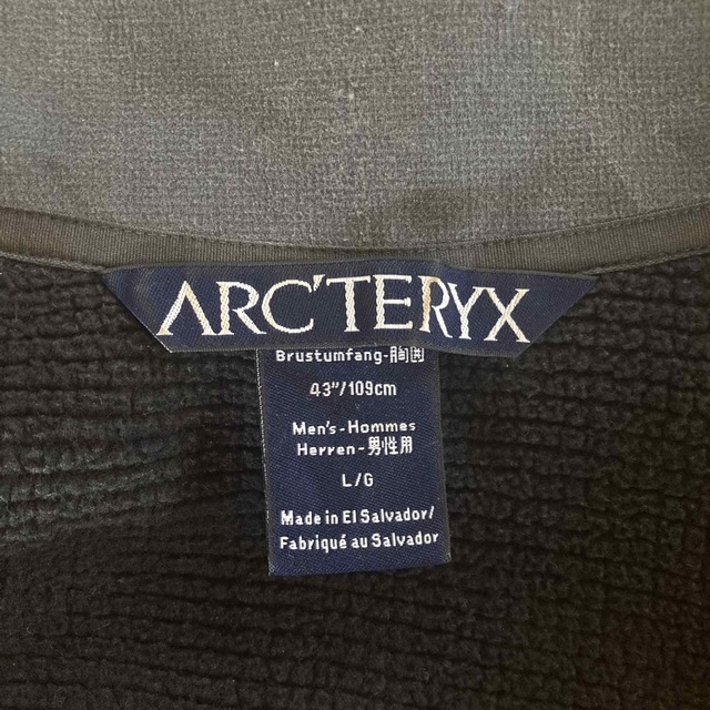 ARC'TERYX(アークテリクス)のARCTERYX POLARTEC FLEECE L メンズのトップス(その他)の商品写真