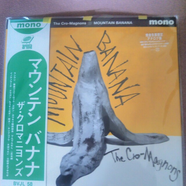 ＭＯＵＮＴＡＩＮ　ＢＡＮＡＮＡレコード