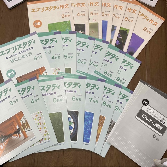 最安値挑戦！　公立中高一貫校適性検査　3月から9月　作文　エブリスタディ　13475円引き