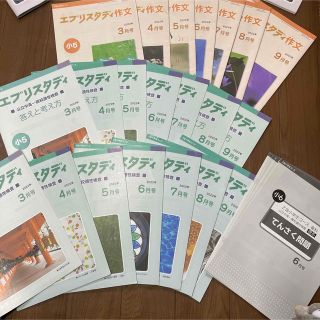 エブリスタディ 公立中高一貫校適性検査 作文 3月から9月の通販 by