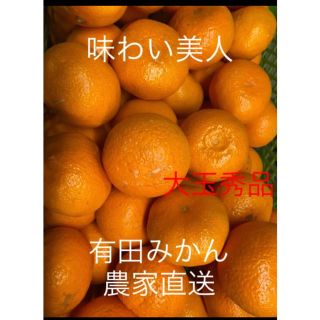 有田みかん農家直送🌟味わい美人大玉秀品箱込み5キロ(フルーツ)