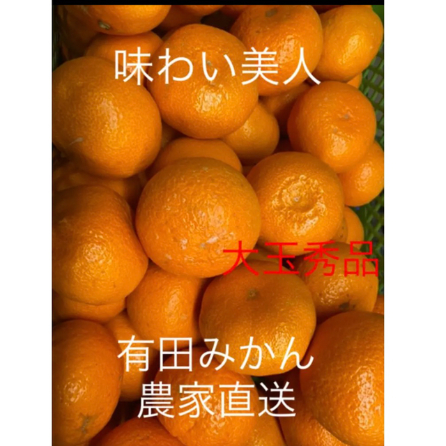 有田みかん農家直送🌟味わい美人大玉秀品箱込み10キロ 食品/飲料/酒の食品(フルーツ)の商品写真