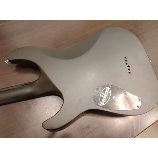 海外販売× SCHECTER Black Jack エボニー指板 BlackJack SLS - 通販