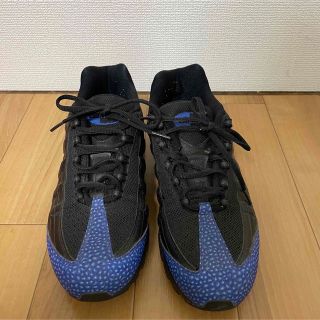 ナイキ(NIKE)のnike 2006年製　W'S AIR MAX95 ZEN PREMIUM(スニーカー)