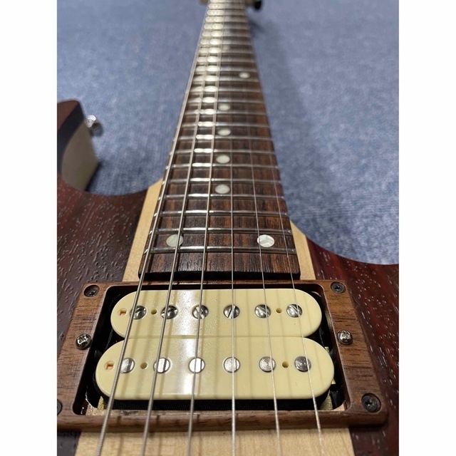 1点物! 超拘り仕様のオーダー品?パドゥークトップのスルーネック24f.2ハム!