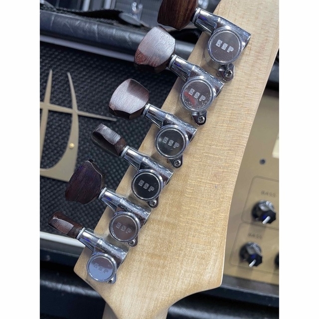 1点物! 超拘り仕様のオーダー品?パドゥークトップのスルーネック24f.2ハム!