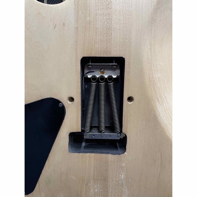 1点物! 超拘り仕様のオーダー品?パドゥークトップのスルーネック24f.2ハム!