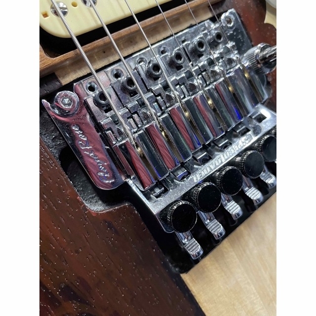 1点物! 超拘り仕様のオーダー品?パドゥークトップのスルーネック24f.2ハム!