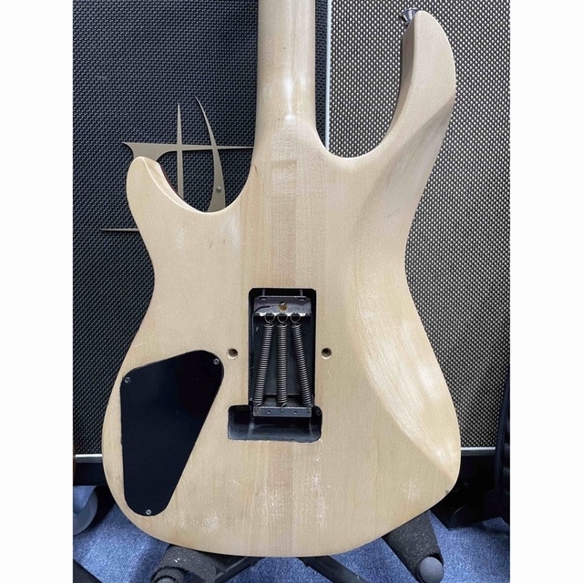 1点物! 超拘り仕様のオーダー品?パドゥークトップのスルーネック24f.2ハム!