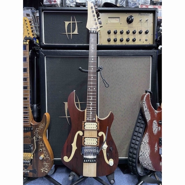 1点物! 超拘り仕様のオーダー品?パドゥークトップのスルーネック24f.2ハム!