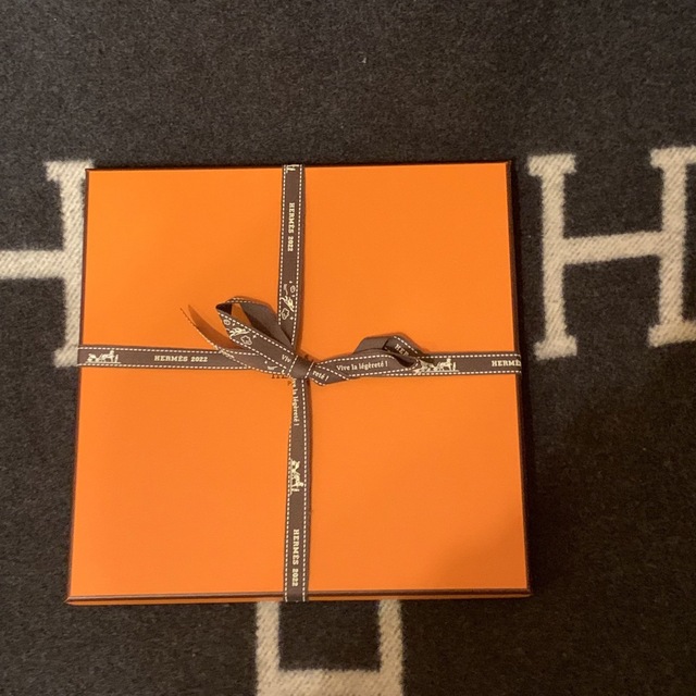 エルメス HERMES カレ 90 《ローブ・レジェール》新品未使用 エルメス HERMES カレ 90 《ローブ・レジェール》新品未使用