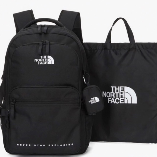 メンズTHE NORTH FACE DUAL POCKET BACKPACK