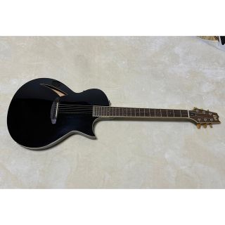 イーエスピー(ESP)のLTD TL-6 エレアコ(アコースティックギター)